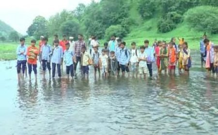 છોટાઉદેપુરમાં બાળકો નદીમાંથી પસાર થઈ ભણવા જવા મજબૂર