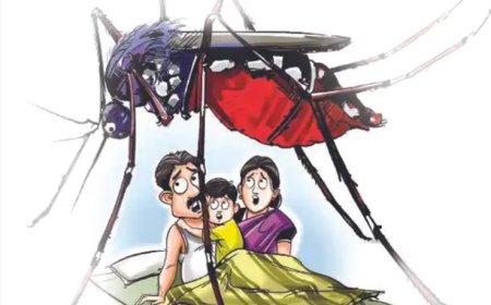 अमरावतीत धोक्याची घंटा; 14 दिवसांत डेंग्यूचे 88, तर चिकनगुन्याचे 58 रुग्ण.