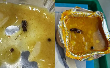 मुंबई के एक व्यक्ति को वंदे भारत ट्रेन में दाल में एक कॉकरोच मिला!