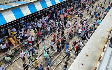 બદલાપુર પ્રકરણઃ રાજ્યએ ગૃહ મંત્રાલય માટે ચાહલને વધારાની મુખ્ય સચિવ તરીકે નિમણૂક કરી