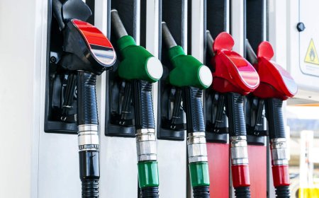 Crude Oil at $79.02 per Barrel, Petrol and Diesel Prices Steady.