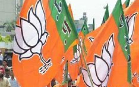 BJPની CECની બેઠકઃ ઉમેદવારોના નામોને મંજૂરી મળી શકે છે