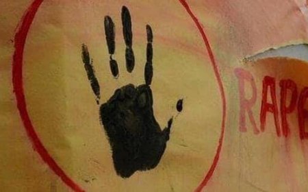 તારાપુરમાં અલ્પવયીન છોકરીનો વિનયભંગ