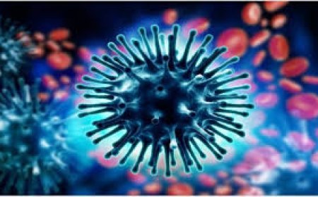 छत्तीसगढ़  में स्वाइन फ्लू से पिछले 15 दिनों में छह लोगों की मौत!