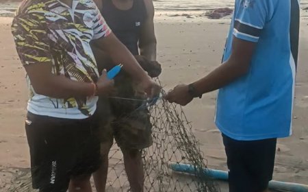 मासेमारीचा हंगाम सुरू होताच उधाणाच्या भरतीने  जाळ्यांचे लाखोंचे नुकसान