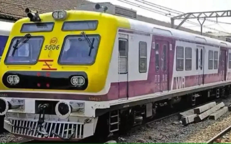 पश्चिम रेल्वेवरील २२ लोकल फेऱ्या रद्द