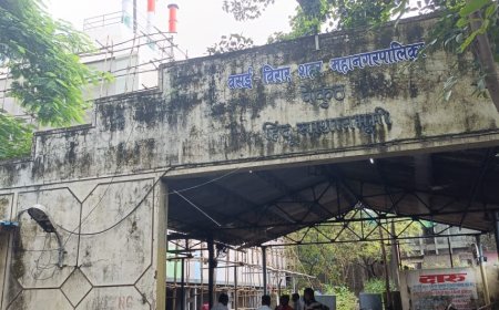 वसई-विरार महापालिकेच्या बुद्धीला देवाज्ञा!स्मशानभूमींतील गॅस शवदाहिनींच्या चिमणीला तिरंग्याचा रंग