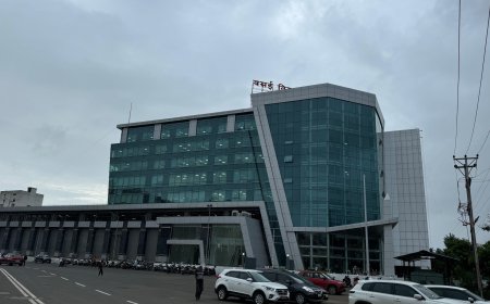 Vasai-Virar Municipal Corporation to Conduct Tree Census After 12 Years,₹3 Crore Allocated for Tree Survey