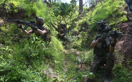 One terrorist 'likely' killed In Kupwara: Army