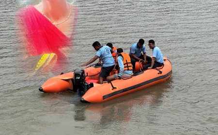 नायगाव पुलावरून दांपत्याची वर्सावे खाडीत उडी; पतीला वाचवले, पत्नीचा शोध सुरू