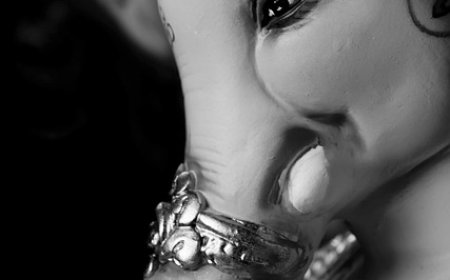 થાણેમાં ગણેશ મૂર્તિ વિસર્જન માટે ફરતાં વાહનમાં વ્યવસ્થા કરાય