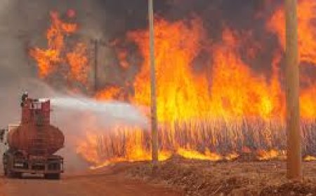 FIRE IN 60,000 HECTARES’ SUGARCANE FIELDS IN BRAZIL: GOOD OPPORTUNITY FOR INDIA TO EXPORT SUGAR :Four men have been arrested on suspicion of setting the fires : A good opportunity for India to export about 2 million ton of sugar