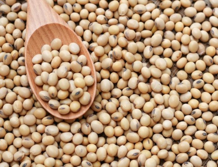 ભારતમાં સોયાબીનના ભાવ ૧૦ વર્ષના તળિયે: બ્રાઝીલ, આર્જેન્ટીના, અમેરિકનમાં વિપુલ સોયાબીન પાક ભાવ ઓગસ્ટ ૨૦૨૦ના તળિયે