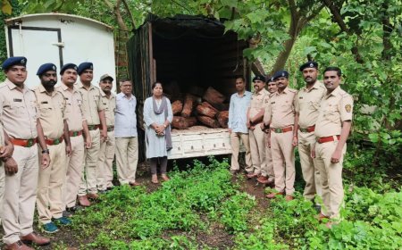 वसईत लाखोंची खैर तस्करी उघड! वन कर्मचाऱ्यांचा फिल्मी स्टाईल थरार, पाठलाग करून दोन वाहने पकडली
