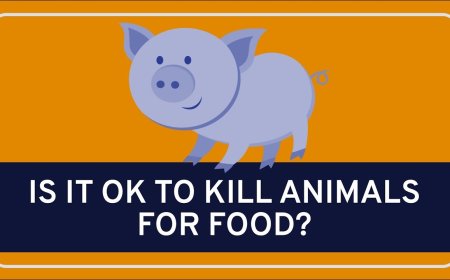 જૈન સમુદાયના પવિત્ર તહેવાર પર્યુષણ પર્વની ગરિમાને ઠેસ પહોંચાડતા નિર્ણયથી વિવાદ: જીવદયા પ્રેમીઓમાં રોષ : વેજીટેરિયન નાગરિકો ફરીથી કોર્ટના દ્વાર ખખડાવશે