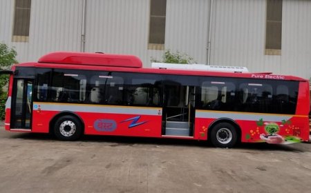 मुंबई : दारुड्यामुळे बस अपघात, तरुणीचा मृत्यू; ९ जखमी, तिघांची प्रकृती चिंताजनक