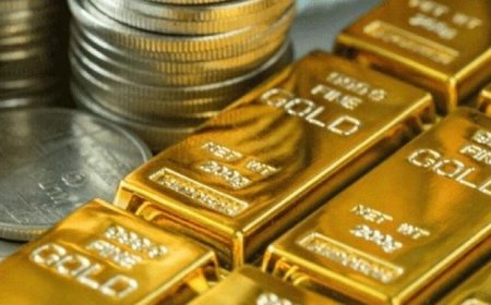 MCX records turnover of Rs.12216.84 crores in Commodity Futures & Rs.86570.72 crores in Options