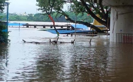 नांदेड़ जिले में गोदावरी नदी खतरे के निशान के पार, अब तक 200 परिवार स्थानांतरित