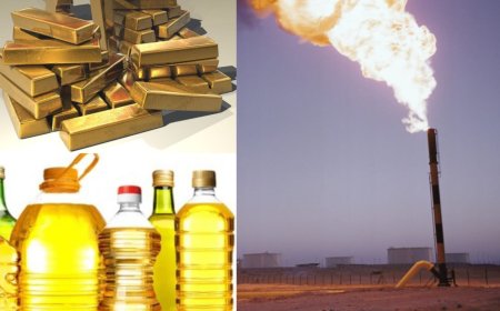 કોટન-ખાંડી વાયદાના ભાવમાં રૂ.340ની વૃદ્ધિઃ મેન્થા તેલમાં નોમિનલ સુધારોઃ ક્રૂડ તેલમાં સેંકડા ઘટ્યા