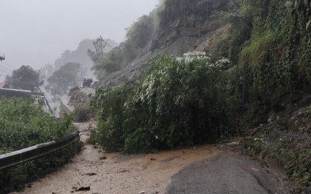 हिमाचल प्रदेश में भूस्खलन से दो एनएच सहित 116 सड़कें बंद, तीन पुलों को नुकसान