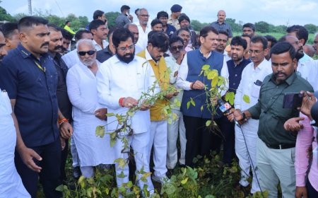 अतिवृष्टीने झालेल्या नुकसानीची पाहणी करण्यासाठी मुख्यमंत्री-उपमुख्यमंत्री शेतकऱ्यांच्या बांधावर