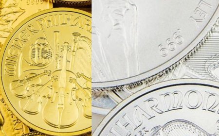 એમસીએક્સ પર કોટન-ખાંડીના વાયદાના ભાવમાં રૂ.160ની નરમાઈઃ ક્રૂડ તેલના ભાવમાં રૂ.48ની વૃદ્ધિ