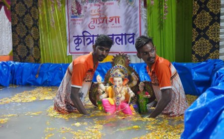 वसई-विरारमधील नागरिकांचा कृत्रिम तलावांना मोठा प्रतिसाद!८ हजार २८२ गणेश मूर्तींचे विसर्जन झाले कृत्रिम तलावात