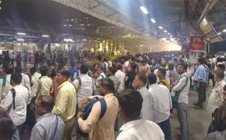 मुंबई:नेरल स्टेशन पर ओवरहेड तार टूटने से हार्बर रेल सेवा प्रभावित