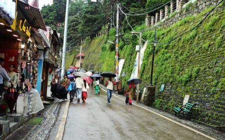 शिमला में बारिश, किन्नौर में सीजन की पहली बर्फबारी, चार जिलों में बाढ़ का अलर्ट