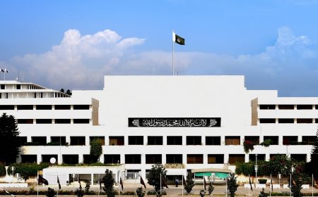 पाकिस्तान में नेशनल अंसेबली के 20 सदस्य संसदीय सचिव नियुक्त