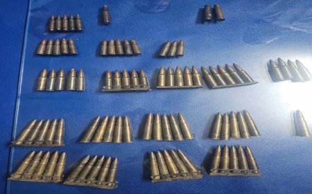 Chhattisgarh: 84 Live Ammunition Rounds Found with Children Fishing in Raipur; Investigation Underway