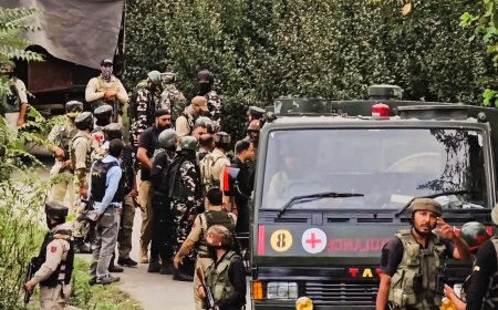 जम्मू-काश्मीर : बारामुला येथे 3 दहशतवादी ठार