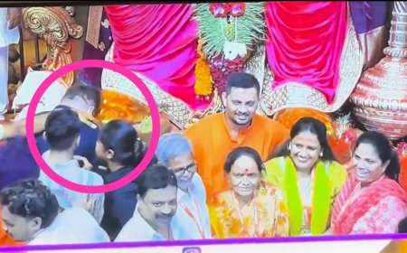 લાલબાગચા રાજામાં જાહેર, વીઆઈપી લોકો સાથે અલગ વર્તન કરવામાં આવ્યું: મુંબઈ પોલીસને ફરિયાદ