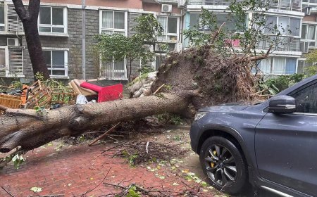 चीन के शंघाई में तूफान बेबिनका की दस्तक, फ्लाइट्स रद्द, रेलगाड़ी, स्कूल-कॉलेज बंद, तटीय क्षेत्र खाली कराया गया