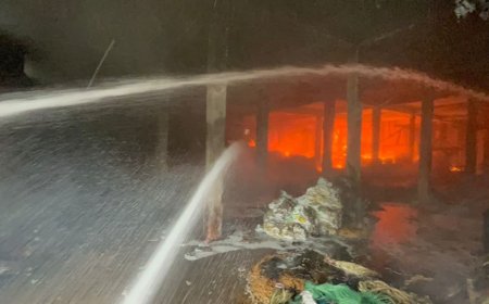 फूड प्रोसेस राइस मिल में लगी आग,लाखों का नुकसान