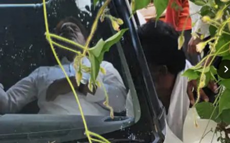 सड़क हादसे में राज्यसभा सांसद बराला घायल