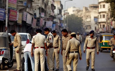 वसई विरार सह मीरा-भाईंदर मध्ये पोलिसांची झाडझडती