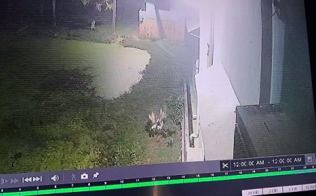 बहराइच में नहीं कम हो रही भेड़िये की दहशत