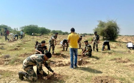 પ્રાદેશિક સેનાની 128મી ઇન્ફન્ટ્રી કોર્પ્સે એક કલાકમાં પાંચ લાખથી વધુ રોપા વાવ્યા, બનાવ્યો વર્લ્ડ રેકોર્ડ