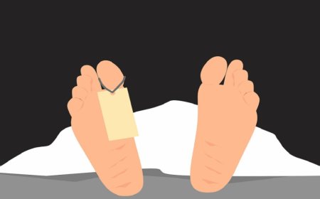 पुणे: मिरवणुकीत तरुणांच्या मृत्यूप्रकरणी मंडळाच्या अध्यक्षासह चौघांवर गुन्हा दाखल, वडगाव शेरीतील दुर्देवी घटना