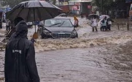 ગુજરાતમાં વરસાદે વિદાય લેતાં મધ્ય અને દક્ષિણ ગુજરાતમાં ધોધમાર વરસાદ, પારડીમાં સૌથી વધુ પોણા પાંચ ઈંચ વરસ્યો