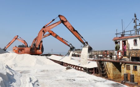 27 સપ્ટેમ્બર વિશ્વ પ્રવાસન દિવસ, મોરબી જિલ્લાના વાંકાનેર પેલેસ, રામપરા વાઈલ્ડ લાઈફ અભ્યારણ્ય, નવલખી બંદર જાણીતા પ્રવાસન સ્થળો