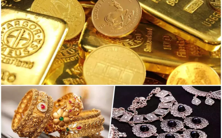 MCX records turnover of Rs.13497.95 crores in Commodity Futures & Rs.44469.29 crores in Options