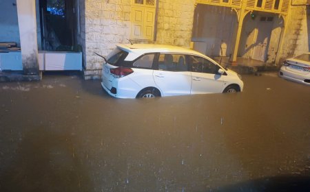 मुसळधार पावसामुळे वसई विरार जलमय