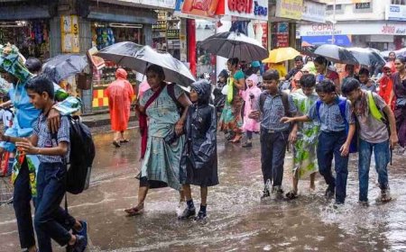 पालघर जिल्ह्यात अतिवृष्टीचा इशारा; २६ सप्टेंबर रोजी शाळा व महाविद्यालयांना सुट्टी जाहीर