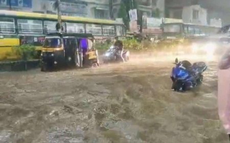 दिनांक २६.९.२०२४ रोजी पालघर जिल्ह्यातील शाळा व महाविद्यालय यांना सुट्टी जाहिर.