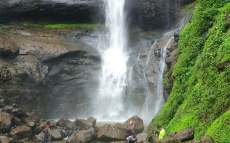 धबधब्यात बुडालेल्या महिला पर्यटकाचा मृतदेह सापडला, कुटुंबातील इतर ४ जणांची सुटका झाली.