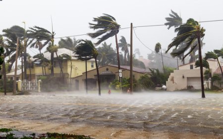 વડોદરામાં મોડી સાંજે 110 કિમીની ઝડપે પવન ફૂંકાતા,4નાં મોત, 29 વાહન દટાયા