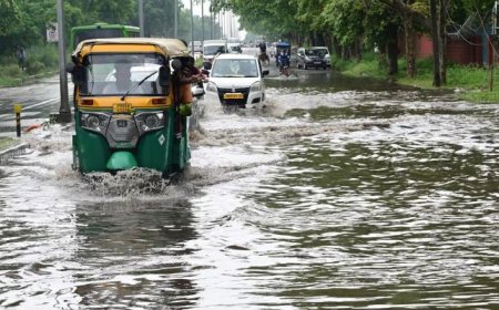 દક્ષિણ ગુજરાતના વ્યારામાં સવા આઠ ઈંચ ખાબકતાં પાણી જ પાણી