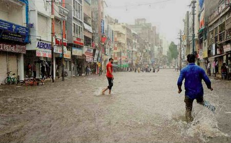 વડોદરામાં મોડી રાત્રે વરસાદ વરસતા શહેરની અનેક સોસાયટીઓમાં પાણી ભરાવાની સમસ્યા સર્જાઈ